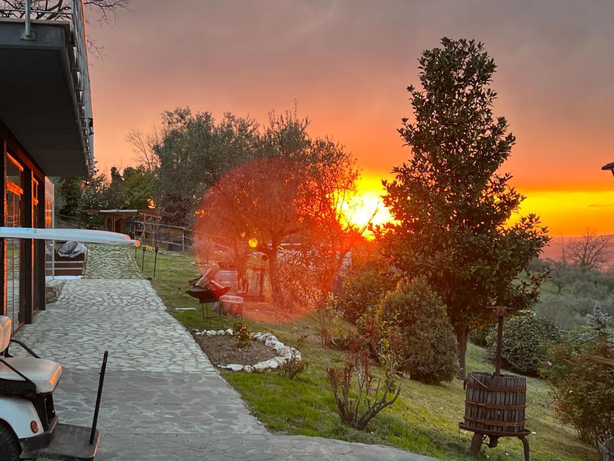 Tenuta Lisetta Монтеротондо Екстер'єр фото